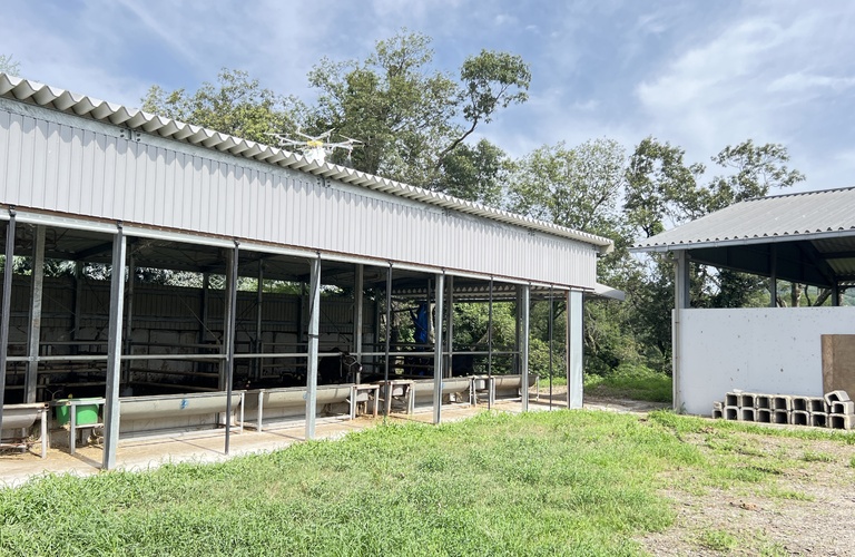 牛舎など屋根の暑さ対策してみませんか！